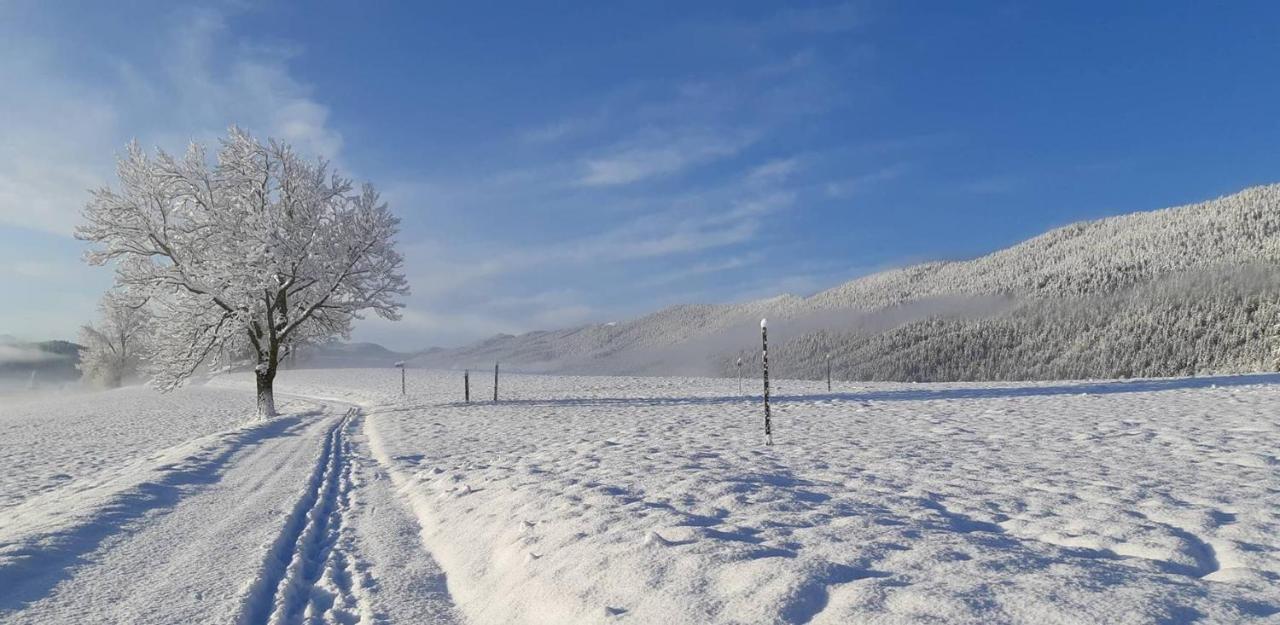 Hotel Restaurant Les Tilleuls Autrans-Meaudre-en-Vercors Dış mekan fotoğraf